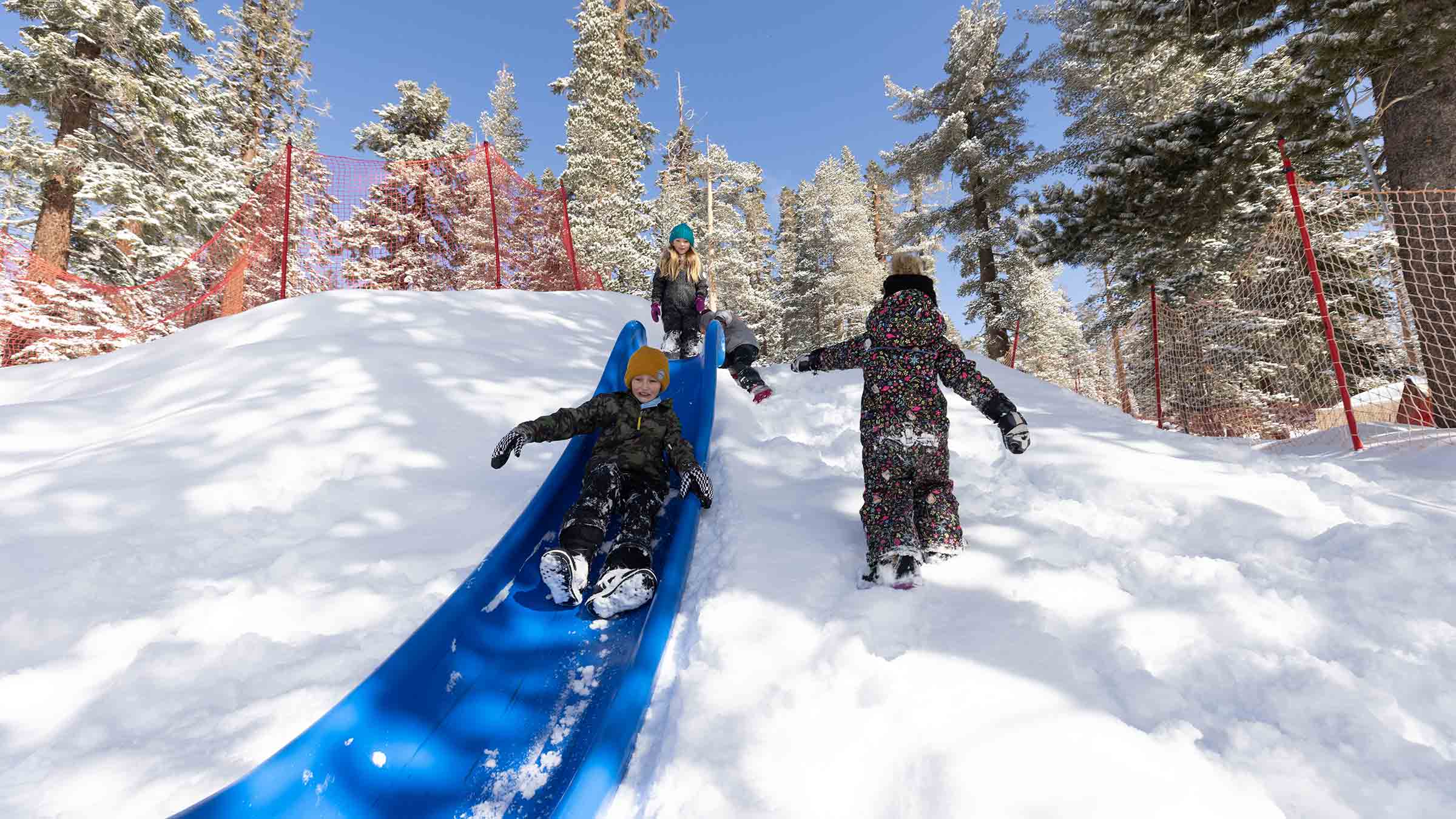 Excited kids slide down colorful tubes at Woolly's Tube Park on Mammoth Mountain, with snowy hills, safety netting, and mountain scenery in the background.
