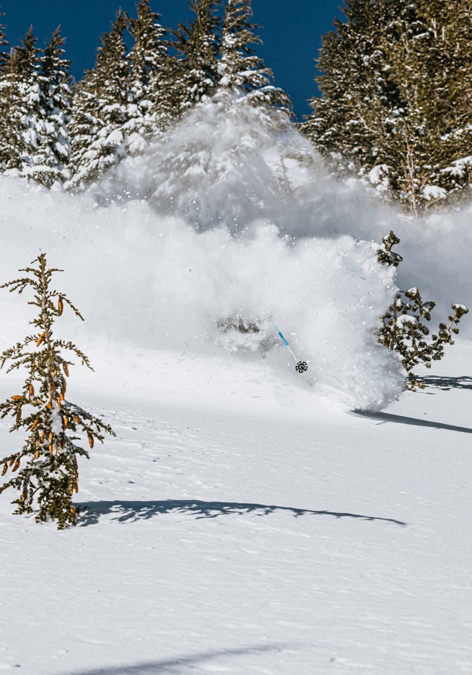 Skier in deep powder