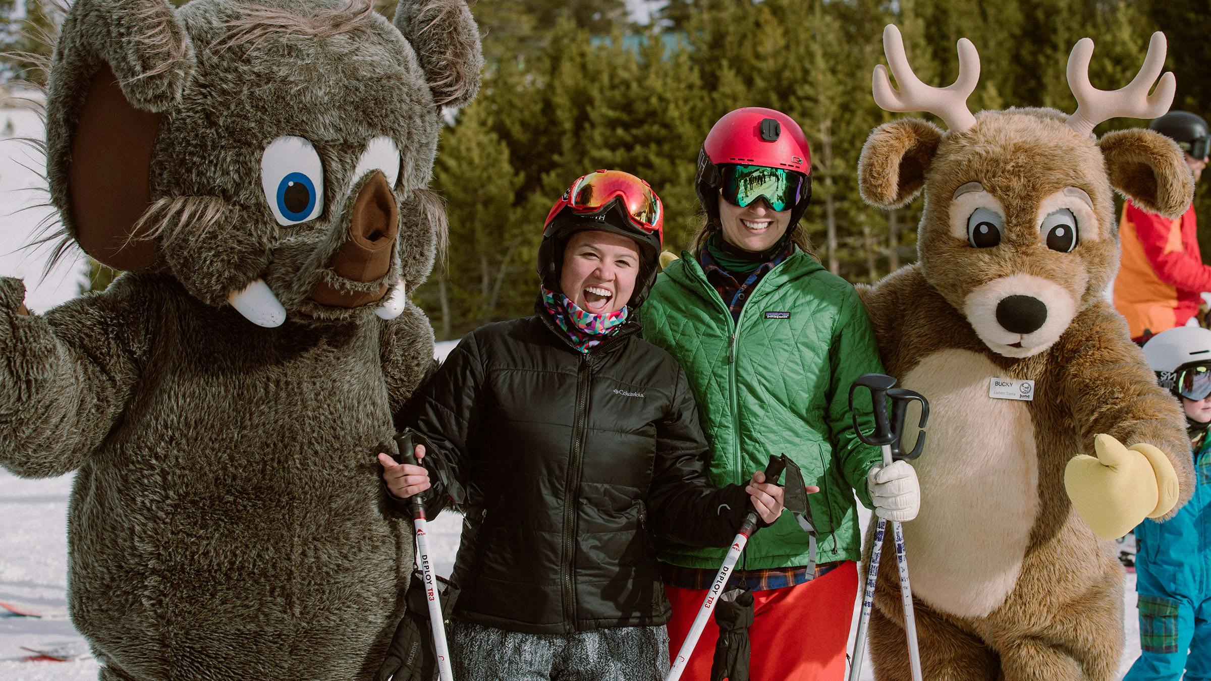 Woolly and Bucky with two skiers