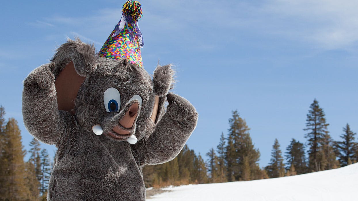 Woolly wearing a birthday hat