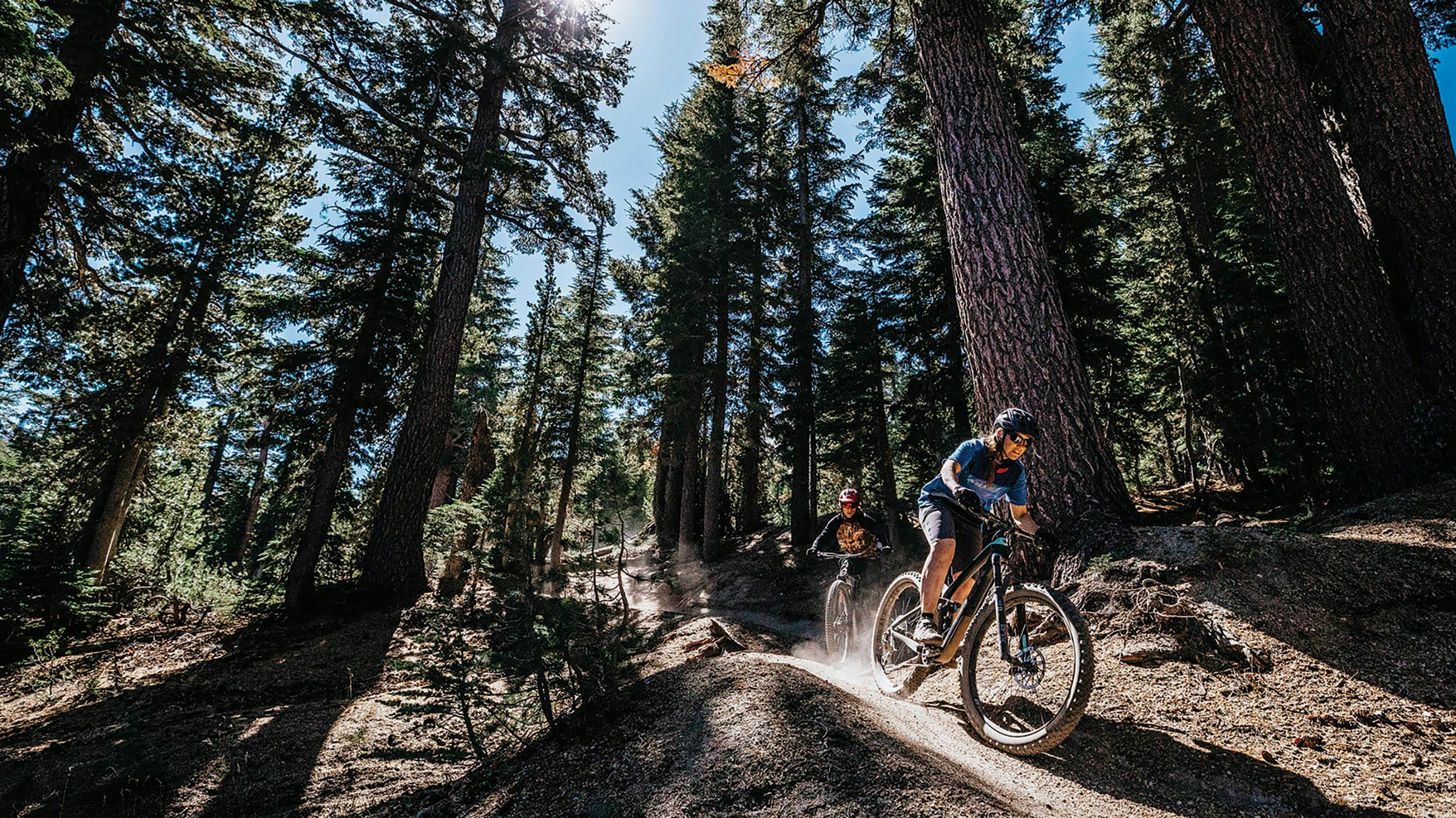 Mountain bikers in Mammoth Bike Park surrounded by tall trees