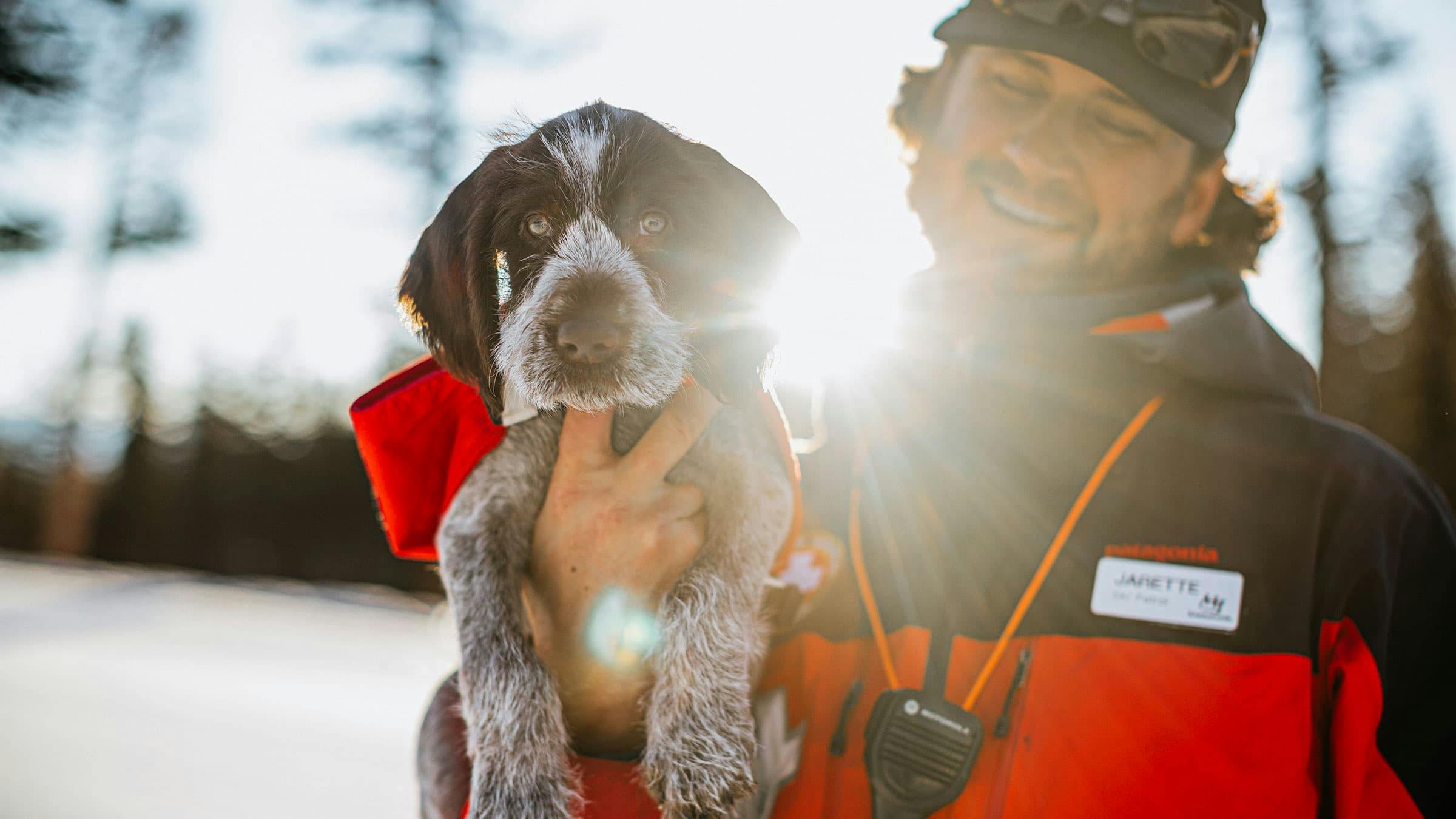 Ski patrol puppy