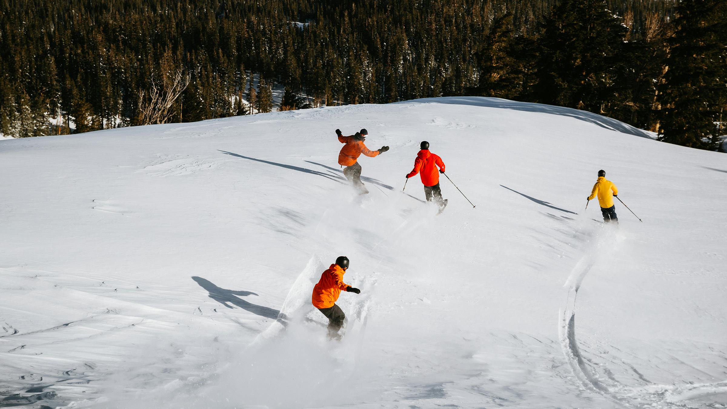 Group of 4 skiers photographed from behind