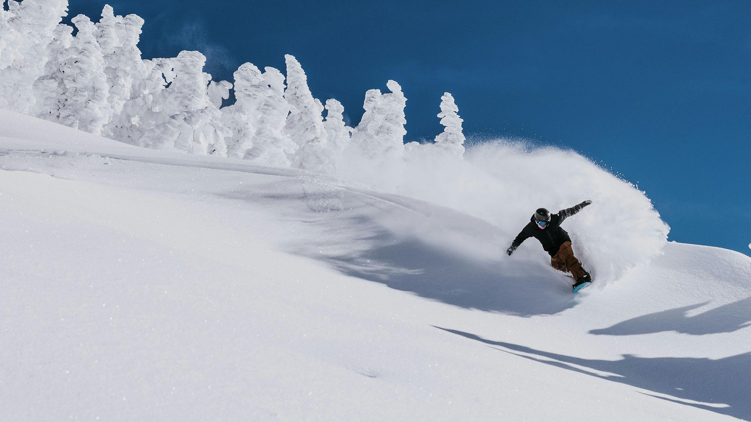 Snowboarder action powder shot with snow-covered trees and blue skies
