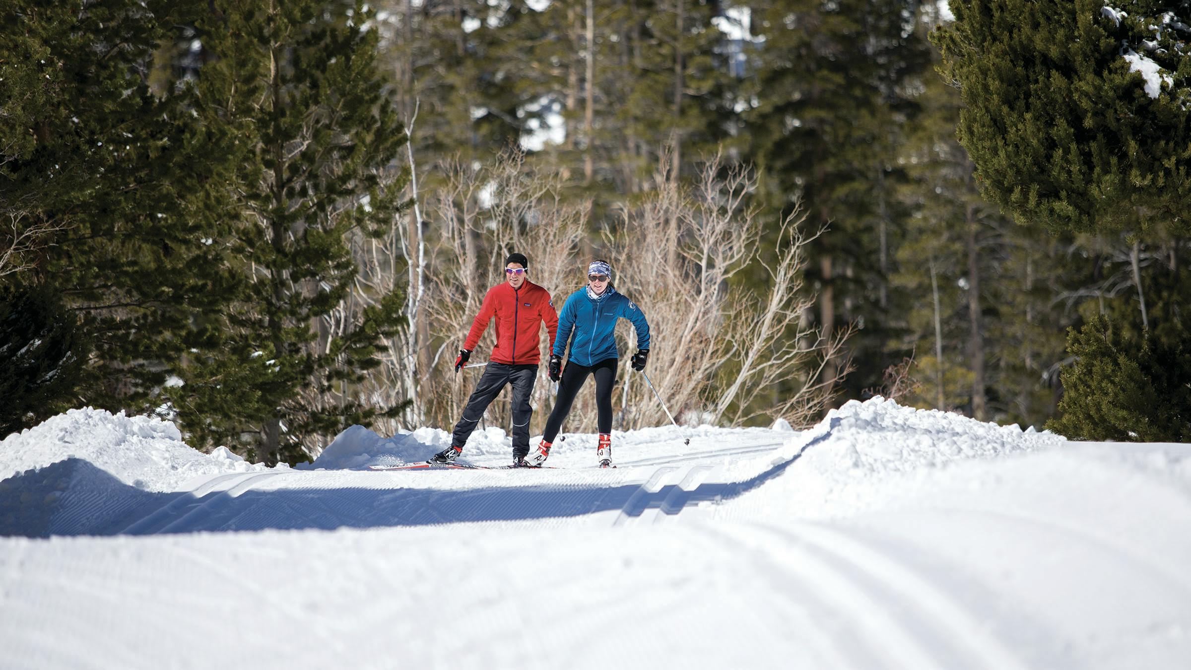 Two cross-country skiers on track
