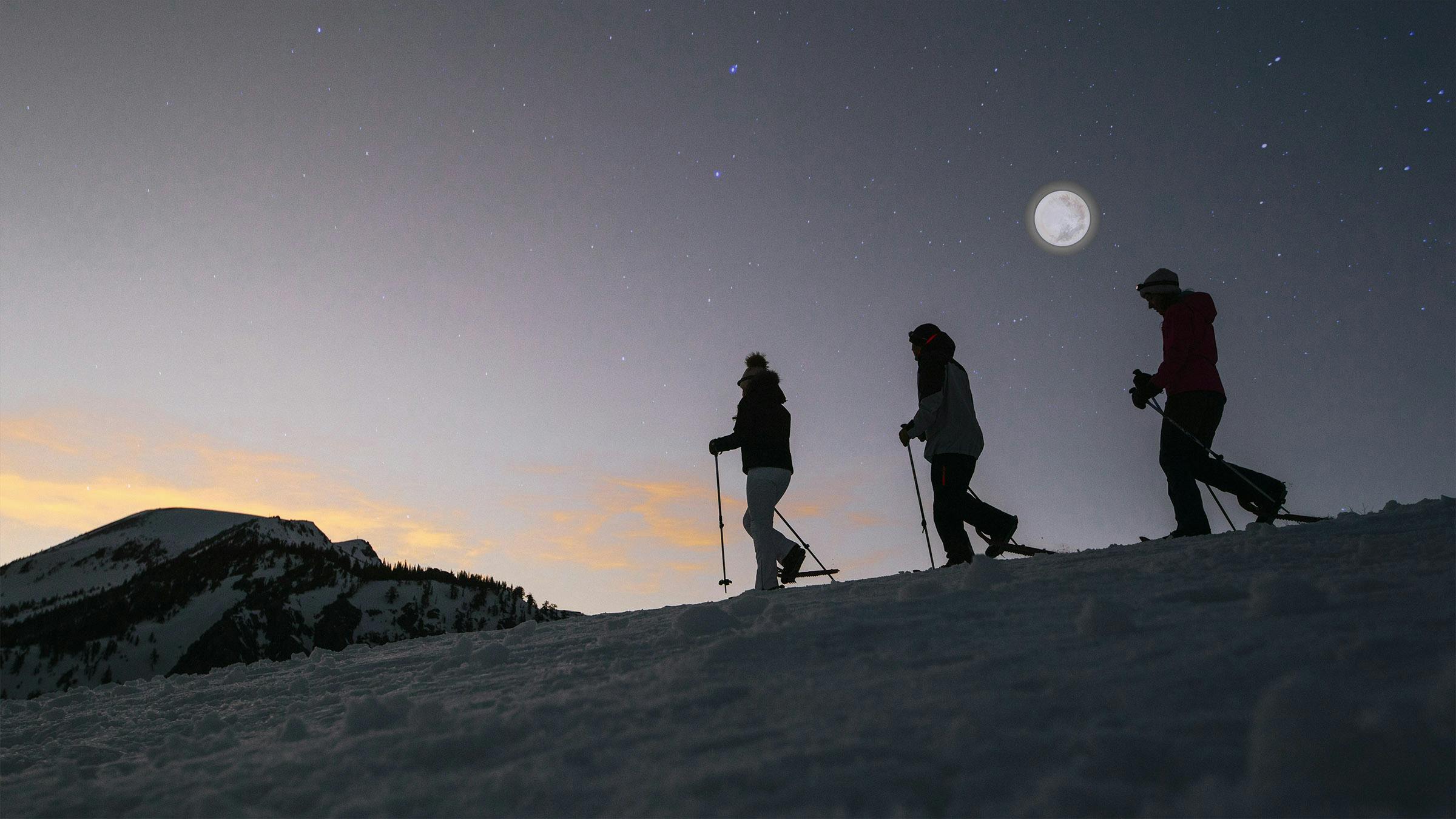 Group of snowshoers under a full moon