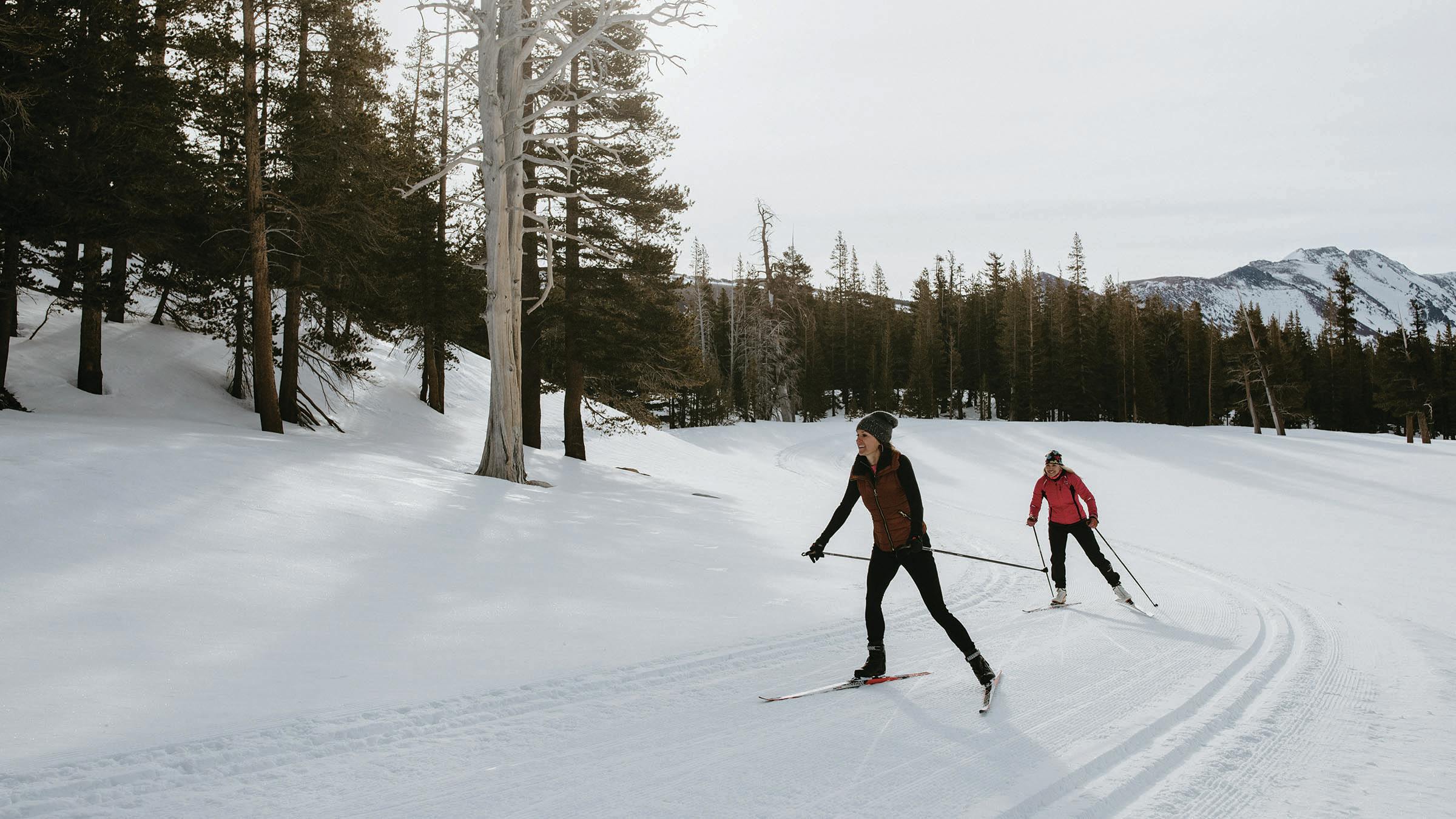 Two cross-country skiers